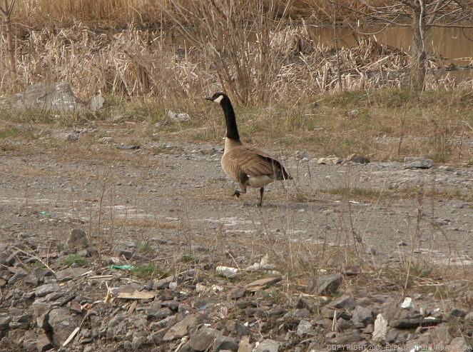 img_7188.jpg