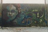 jenkins_graf_1