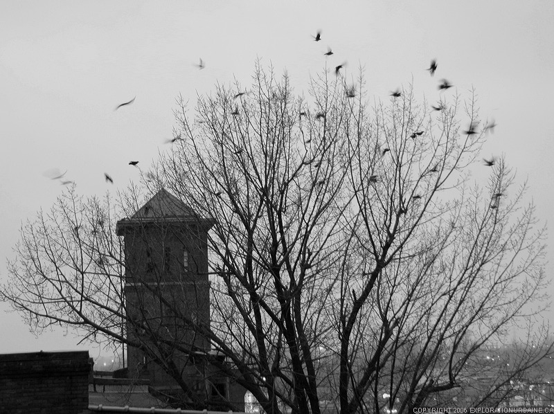 file106.jpg