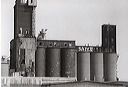 canada_malting_in_1996