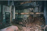 malting_plant_inside_65